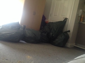 Some of my rubbish bags...
